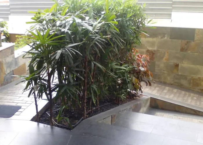 Apartman Piso 2 Sol Del Sur Costa Adeje (Tenerife)